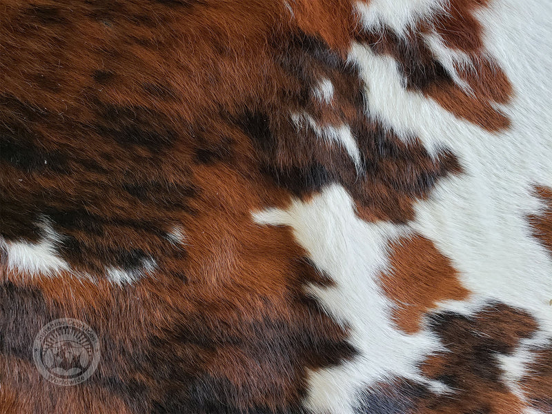 Brindle Dark White Belly Cowhide Rug