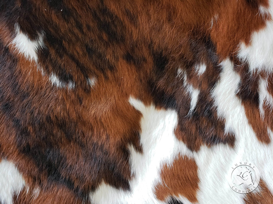Premium Tricolor Cowhide Rug Size 6.10 FT x 7.3 FT — Luxury Cowhides