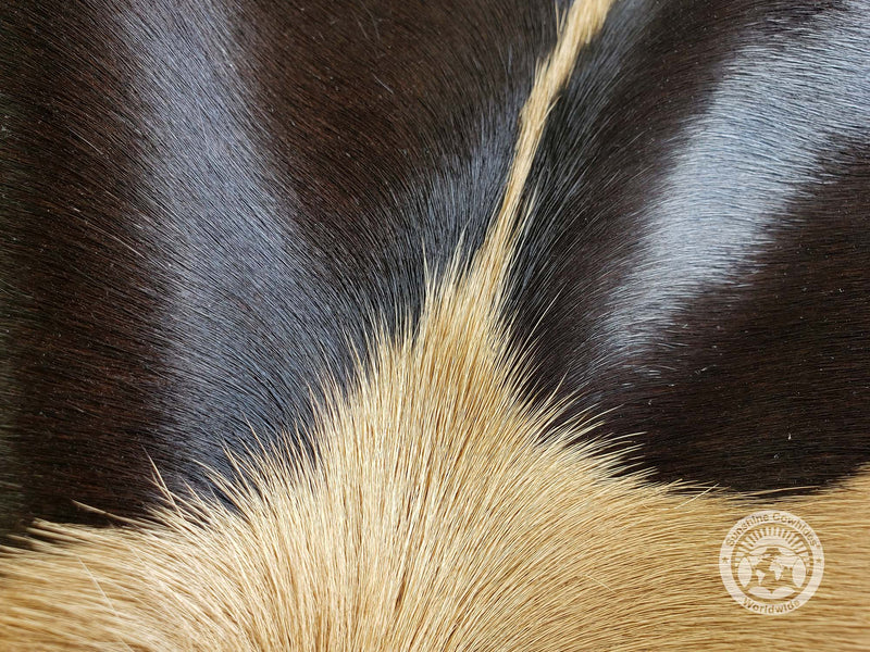 Dyed Capuccino on Black Cowhide Rug