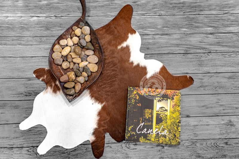 Mini Cowhide Rug - Brown and White