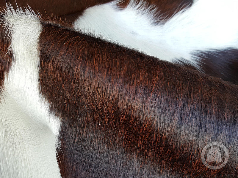 Black & White Reddish Cowhide Rug
