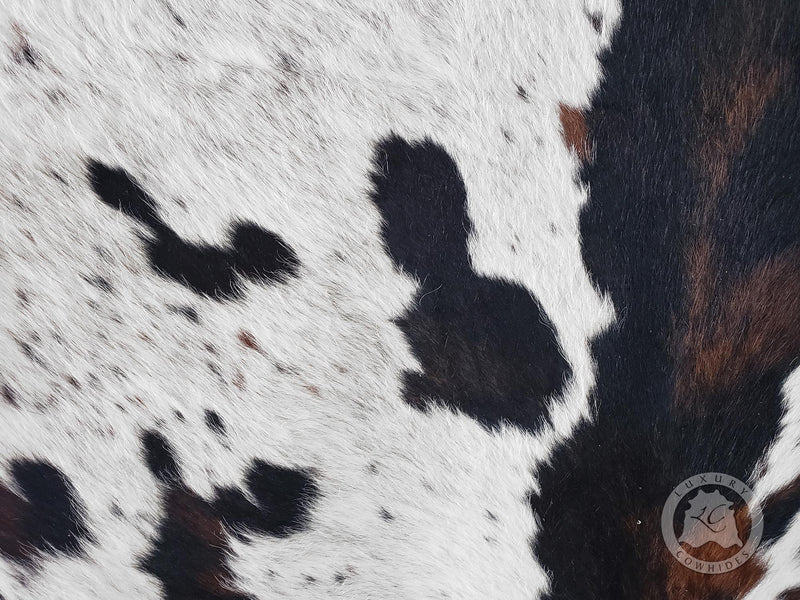 Tricolor Cowhide Rug