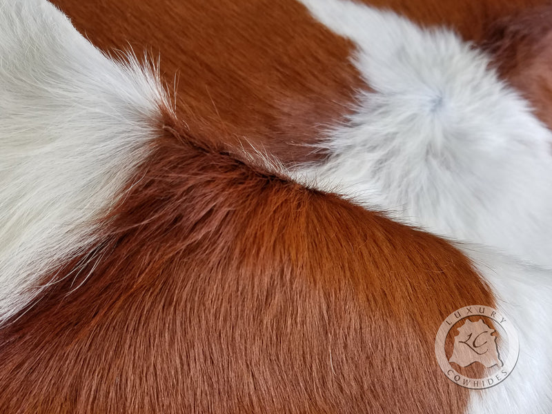 Mini Cowhide Rug - Brown and White