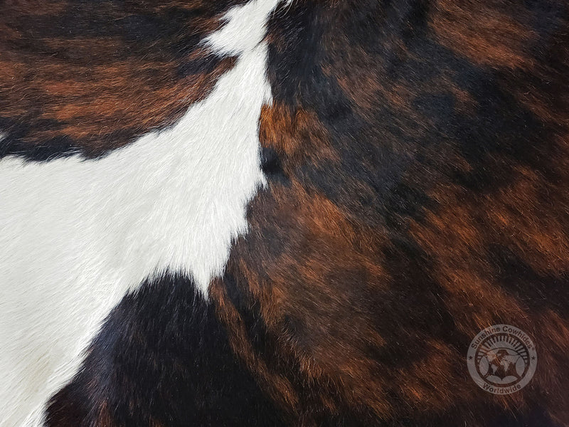 Tricolor Cowhide Rug