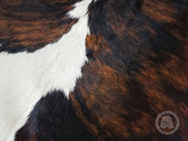 Brindle Dark White Belly Cowhide Rug