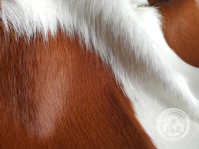 Brown and White Cowhide Rug