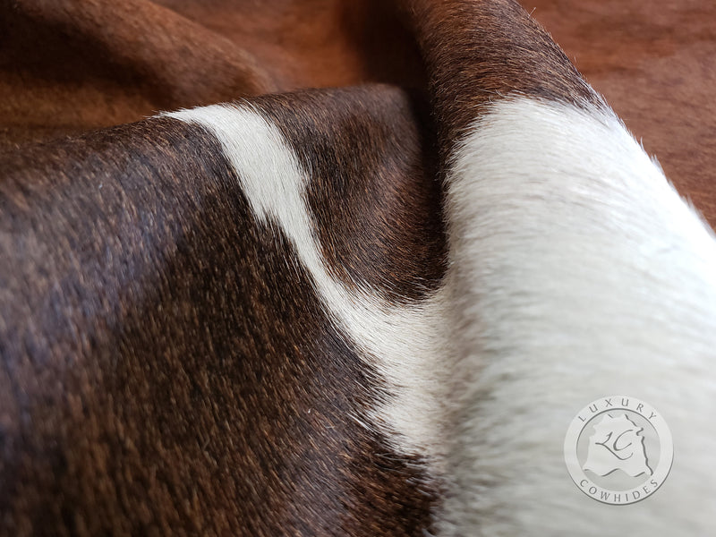 Black & White Reddish Cowhide Rug