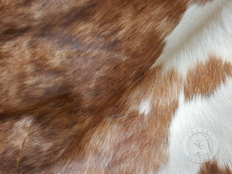 Brindle White Belly Cowhide Rug