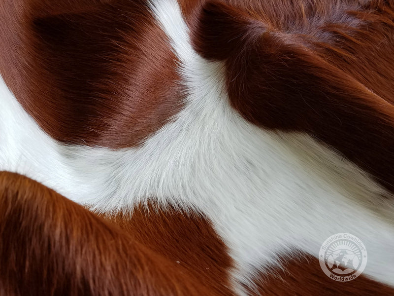 Brown and White Cowhide Rug