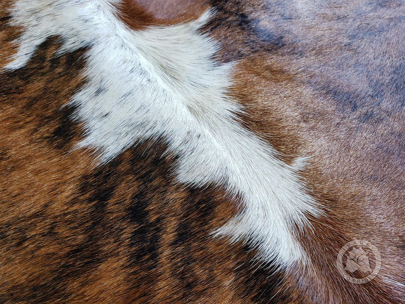 Brindle White Backbone Cowhide Rug