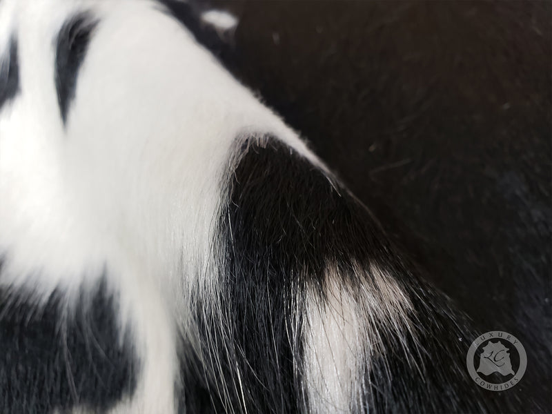 Mini Cowhide Rug - Black and White
