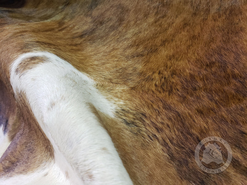 Brindle White Belly Cowhide Rug