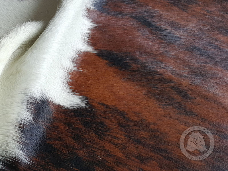 Brindle White Belly Cowhide Rug
