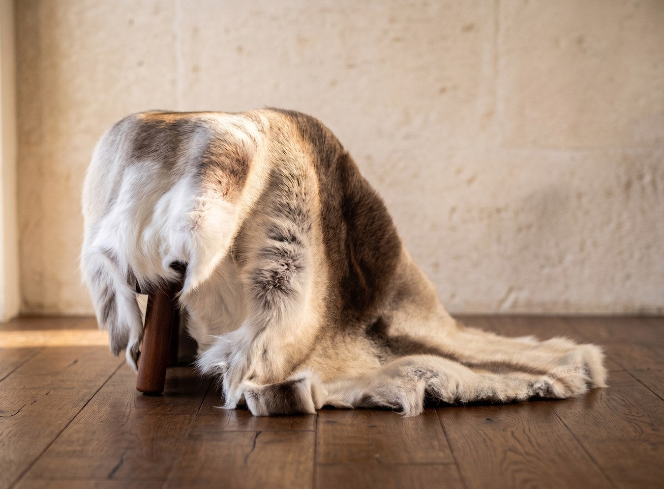 Reindeer Hides